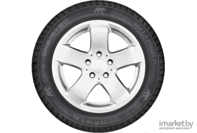 Автомобильные шины Gislaved Soft*Frost 200 SUV 225/65R17 102T