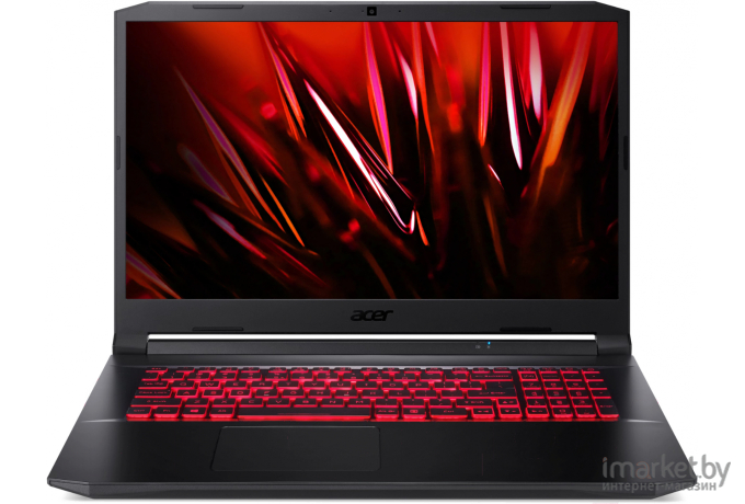 Ноутбук Acer AN517-41 (NH.QBHEX.006)