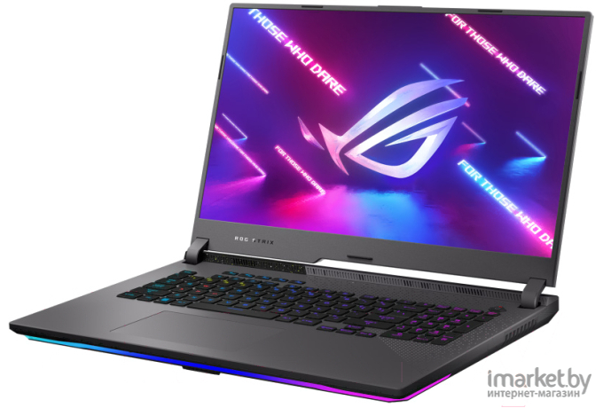 Ноутбук Asus G713RM-LL034 (90NR08K4-M003D0)