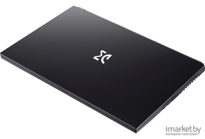 Ноутбук Dream Machines G1650-17KZ85 черный
