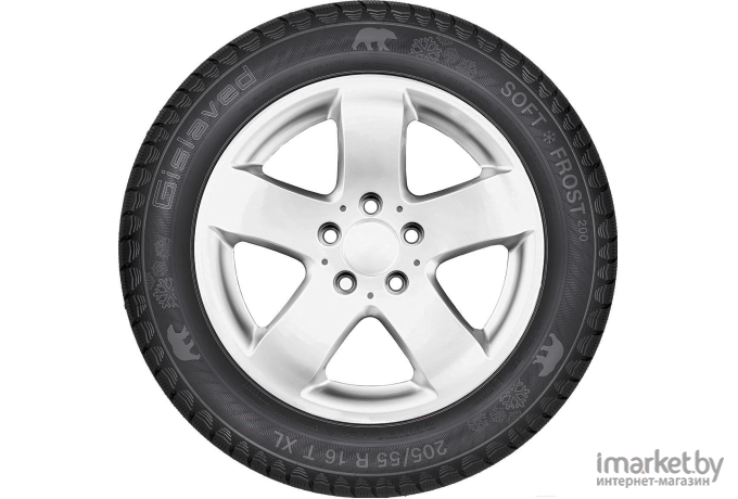 Автомобильные шины Gislaved Soft*Frost 200 205/60R16 96T