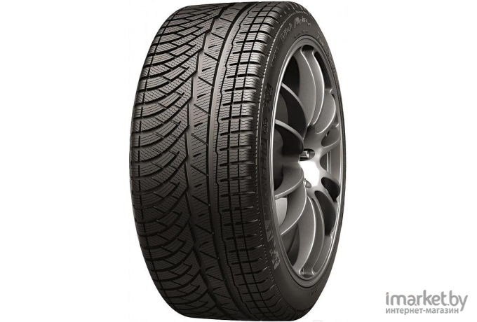 Автомобильные шины Michelin Pilot Alpin 4 295/30R19 100W