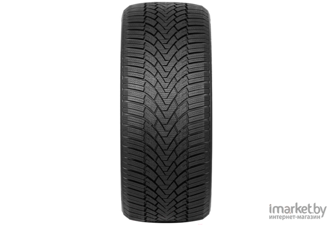 Автомобильные шины Arivo Winmaster ProX ARW3 205/65R16 95H