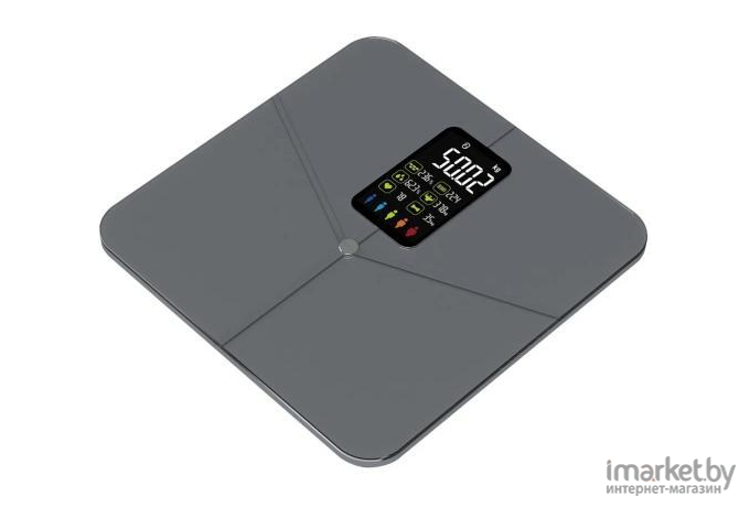 Напольные весы SecretDate Smart SD-IT02CG