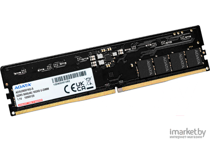 Оперативная память A-Data 16GB DDR5-5600 (AD5U560016G-S)
