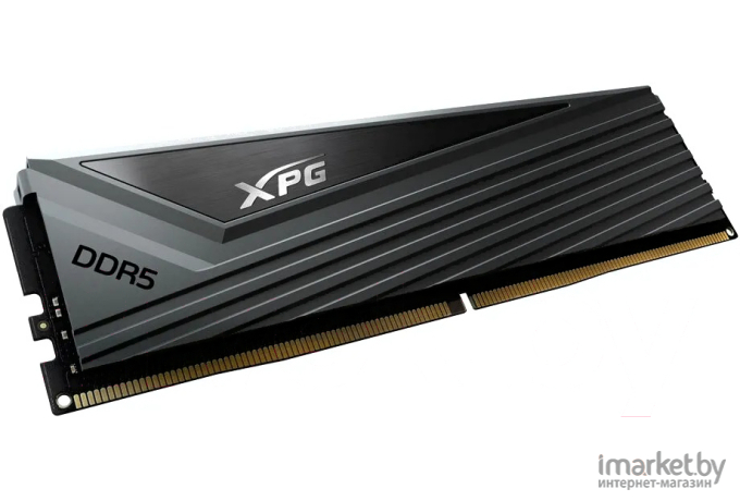 Оперативная память A-Data XPG Caster 32GB DDR5-6000 (AX5U6000C3016G-DCCAGY)