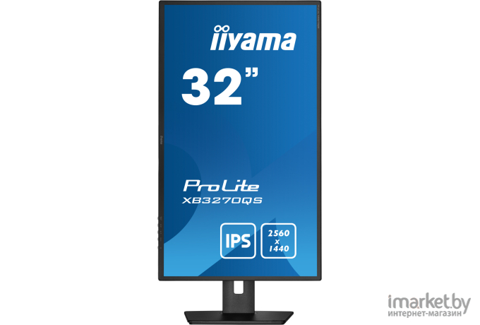 Монитор Iiyama ProLite XB3270QS-B5 черный