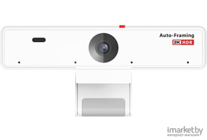 Камера для видеоконференций Nearity V21 (AW-V21)