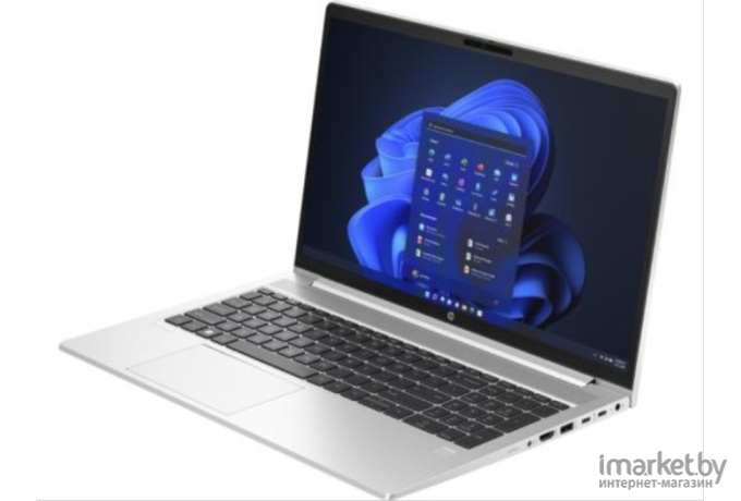 Ноутбук HP ProBook 450 G10 816A0EA (серебристый)