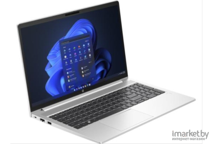 Ноутбук HP ProBook 450 G10 816A0EA (серебристый)