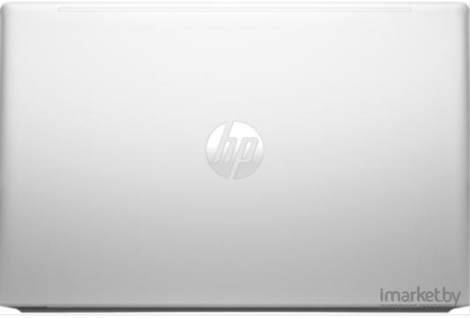 Ноутбук HP ProBook 450 G10 816A0EA (серебристый)