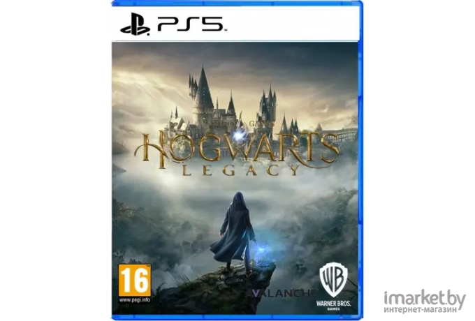 Видео-игра Hogwarts Legacy для PS5 5051893242614