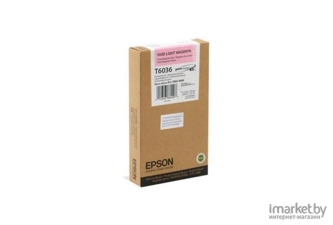 Картридж для принтера Epson C13T603600