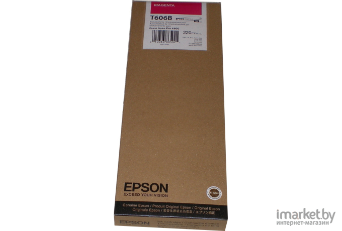 Картридж для принтера Epson C13T606B00