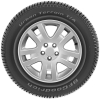 Автомобильные шины BFGoodrich Urban Terrain T/A 255/55R18 109V