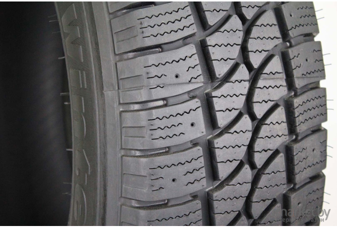 Автомобильные шины Tigar Cargo Speed 225/70R15C 112/110R