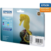 Картридж для принтера Epson EPT04874010 (C13T04874010)