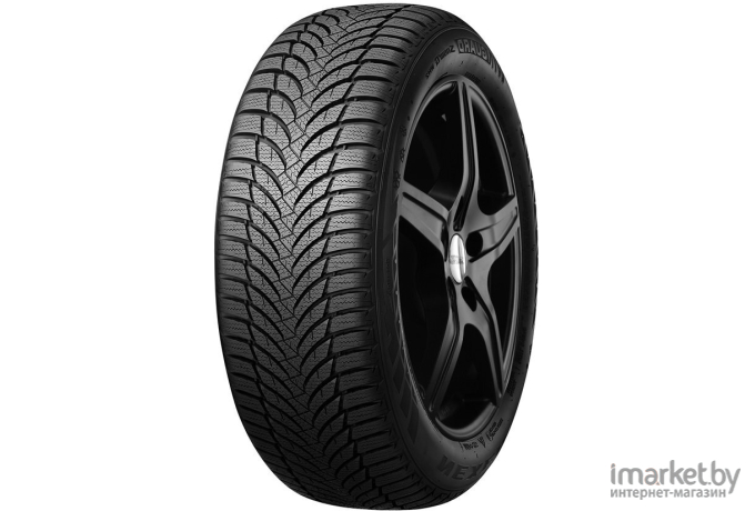 Автомобильные шины Nexen Winguard SnowG WH2 225/55R16 95H