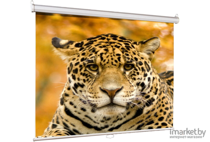 Проекционный экран Lumien Eco Picture (LEP-100102)