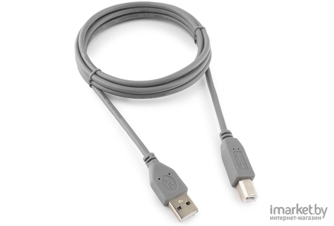 Кабель Gembird CCP-USB2-AMBM-6G