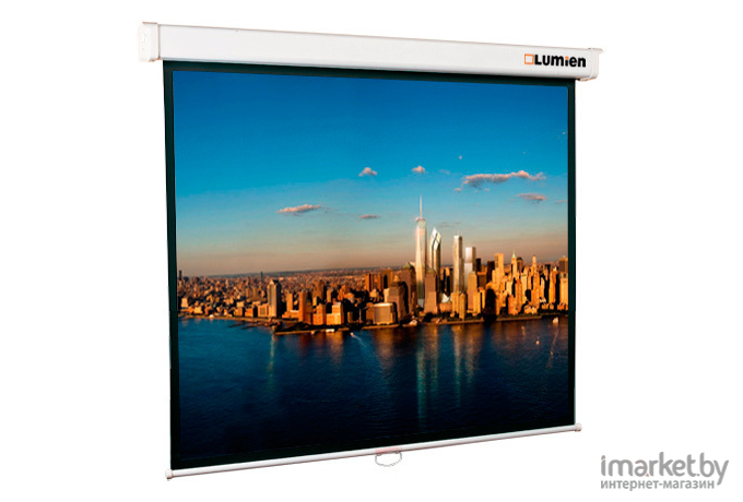 Проекционный экран Lumien Master Picture 173x300 (LMP-100118)