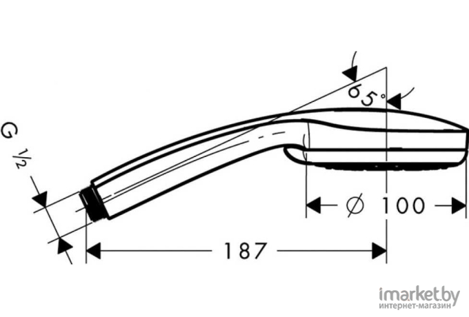 Душевая лейка Hansgrohe Croma 100 Vario (28535000)