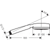 Душевая лейка Hansgrohe Crometta 100 1jet [26825400]