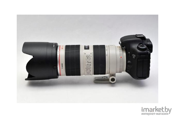 Объектив Canon EF 70-200mm f/2.8L USM