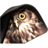 Коврик для мыши Dialog PM-H15 Owl