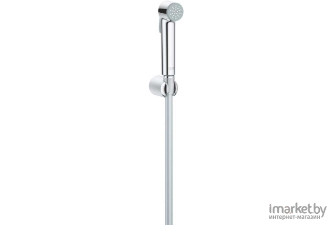 Душевой гарнитур Grohe Tempesta-F Trigger Spray 30 27513001