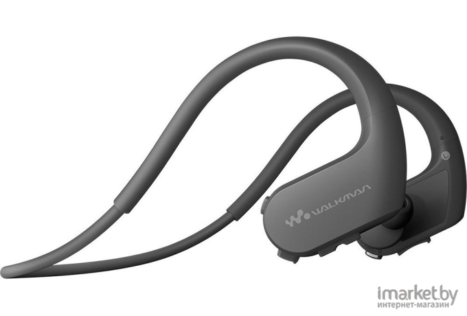 MP3 плеер Sony Walkman NW-WS623 4GB (черный)