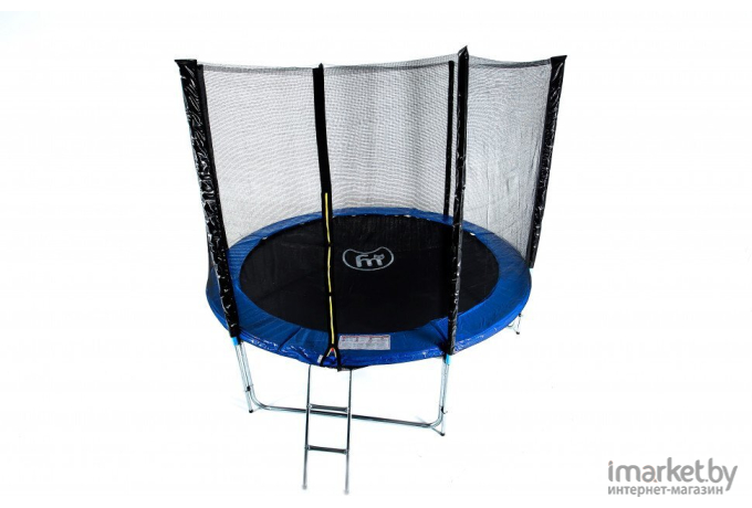 Батут Fitness Trampoline Extreme 10 ft-312 см с защитной сеткой и лестницей