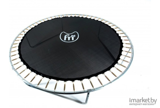 Батут Fitness Trampoline Extreme 10 ft-312 см с защитной сеткой и лестницей