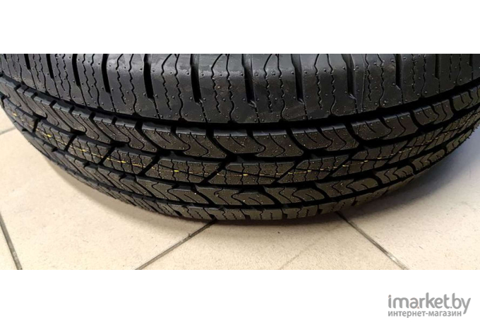 Автомобильные шины Nexen Roadian HTX RH5 235/65R17 108H