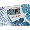 Напольные весы Galaxy GL4801