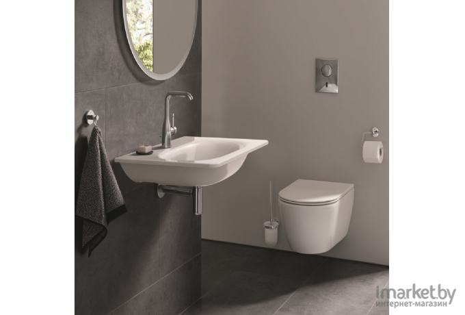 Ершик Grohe Essentials 40374001