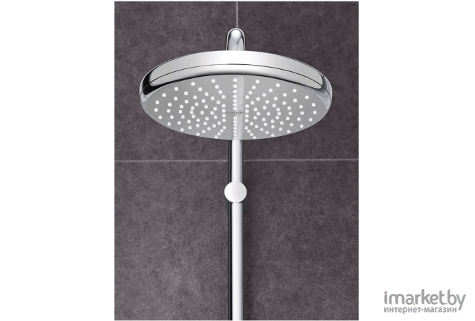 Душевая лейка GROHE New Tempesta 27597001