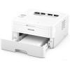 Принтер Ricoh SP 230DNw (408291)