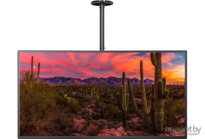 Кронштейн для телевизора Cactus CS-CP04-R черный